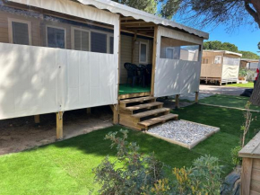 MOBILHOME N 902 Trigano Amira 2023